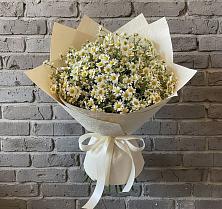 Букет цветов из:  Ромашки #REPLACE_PRED# Нестерово