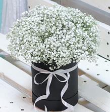 Цветочная композиция из Гипсофила в шляпной коробке #REPLACE_PRED# Нестерово