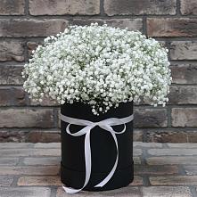 Цветочная композиция из Гипсофила в шляпной коробке #REPLACE_PRED# Нестерово