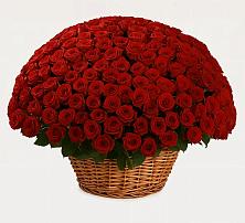 Премиум букет из: Розы #REPLACE_PRED# Нестерово